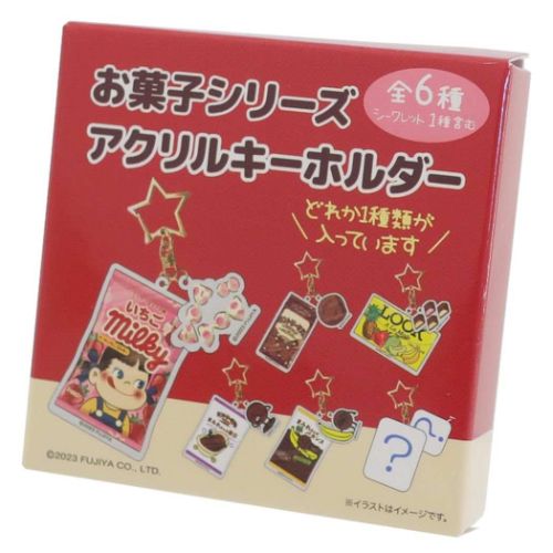 キーチェーン シークレットキーホルダー 全6種 24個入セット