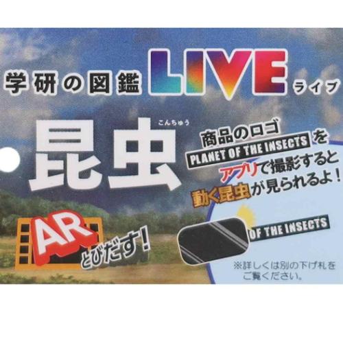 保冷バッグ カブトムシ＆ノコギリクワガタ 保冷保温リングポーチ ジェイズプランニング お出かけ 子供 アウトドア