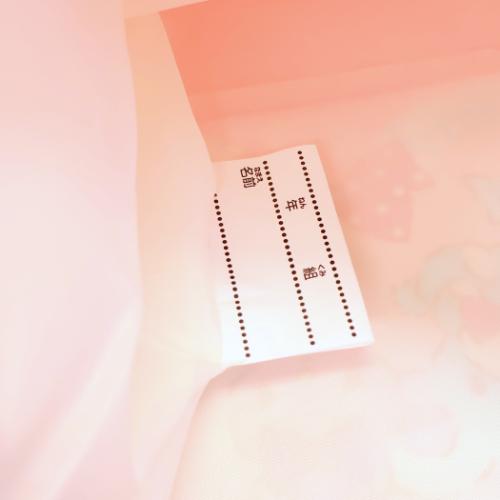 ポムポムプリン キャラクター お稽古かばん レッスンバッグ ハグ[学童] サンリオ