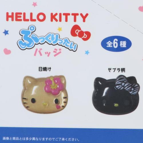 ハローキティ ぷっくりったいバッジ 全6種 6個入セット バッジ