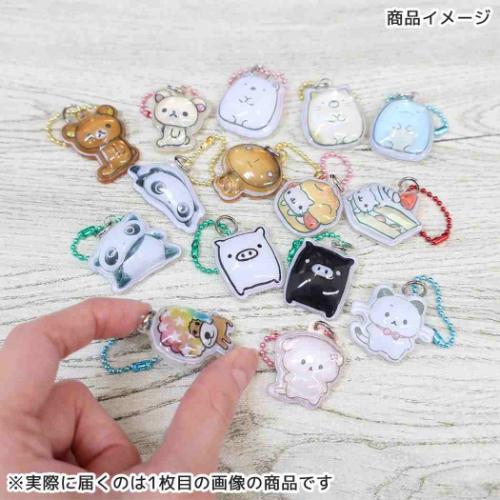 ぷっくりったいプチボールチェーン キーホルダー すみっコぐらし ねこ