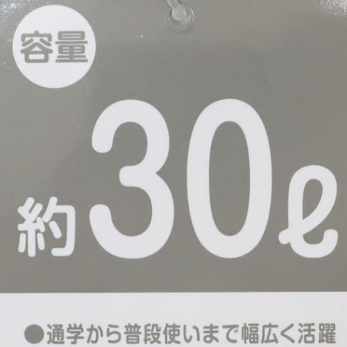 デイパック 30Lリュック ポケットモンスター クロ ピカチュウ ポケモン マルヨシ リュックサック キャラクター