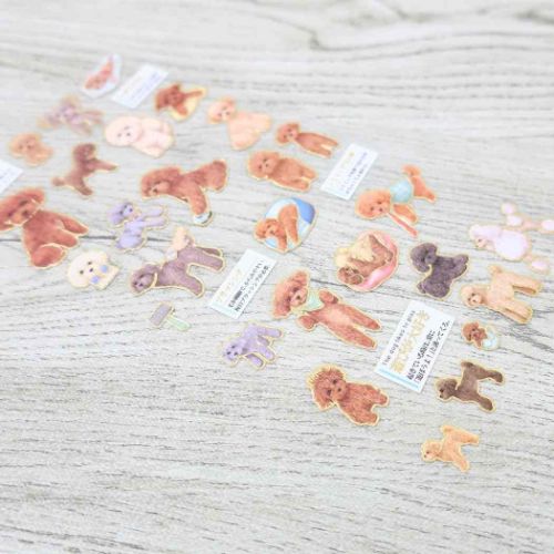 シール 大人の図鑑シール トイプードル カミオジャパン : キャラクター