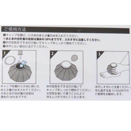 スヌーピー 氷のう ピーナッツ アイスバッグ キャラクター おすましジョークール