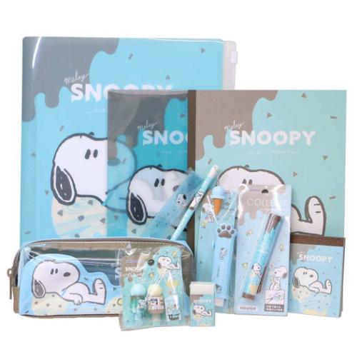 11点文房具セット 文具セット スヌーピー MELTY ICE CREAM ピーナッツ