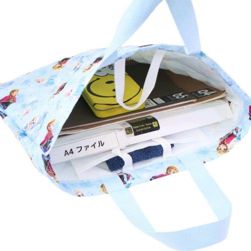 アナと雪の女王 グッズ レッスンバッグ ディズニー キャラクター キルトレッスンバッグ