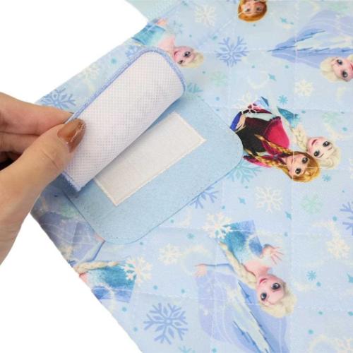 アナと雪の女王 グッズ レッスンバッグ ディズニー キャラクター キルトレッスンバッグ