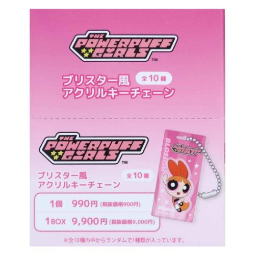 ブリスター風アクリルキーチェーン 全10種の内どれか1つ キーリング