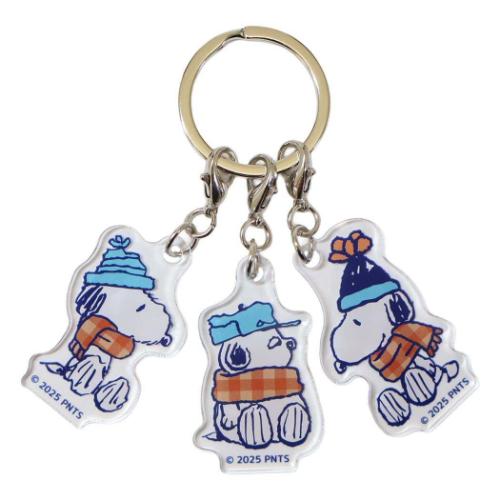 ポケットモンスター 3連アクリルキーホルダー キーリング ポケピース