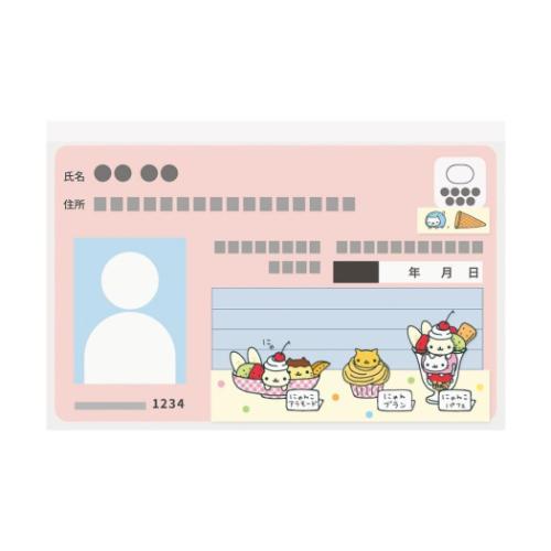 マイナカードクリアケース カードケース にゃんにゃんにゃんこ 6枚入り エムプラン サンエックス かわいい 普段使い 実用