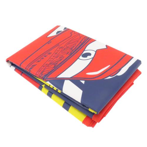 カーズ グッズ ピクニック用品 キャラクター レジャーシート レッツスタート ディズニー