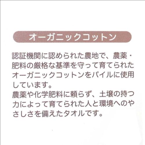 オーガニックコットンミニタオル ジャガードハンカチタオル 死の秘宝 ハリーポッター ワーナーブラザース 丸眞 汗拭きタオル
