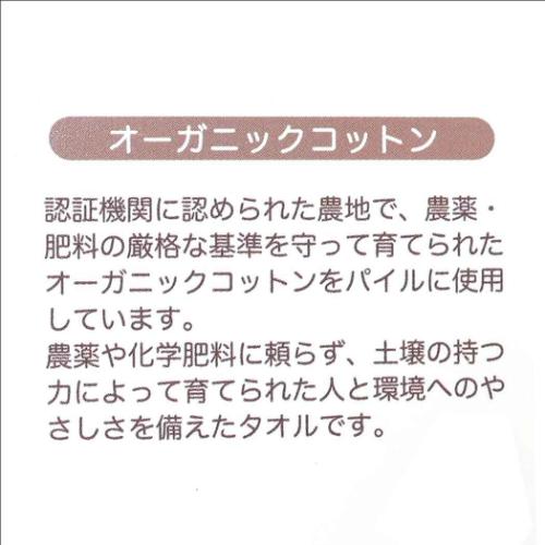 くまのがっこう フェイスタオル シャーリングロングタオル オーガニックコットン フラワーストリート ジャッキー 丸眞