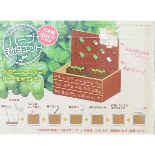 栽培セット ハーブ栽培キット ミッフィー ミニラティス イタリアンパセリ ディックブルーナ ナガノファクトリー 屋内 家庭菜園