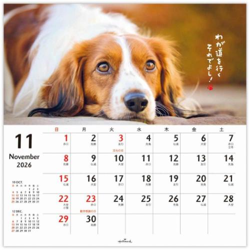 犬カレンダーのおすすめ人気商品一覧 通販 - Yahoo!ショッピング