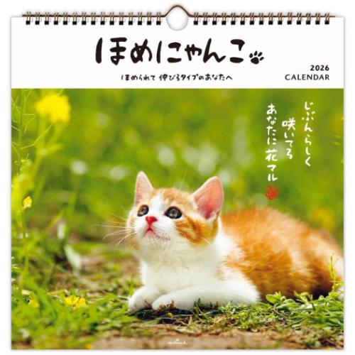 50％OFF】2026 Calendar ほめにゃんこ リングカレンダー大 壁掛け
