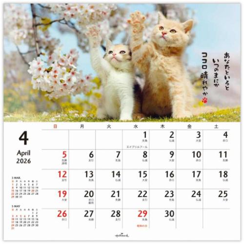 50％OFF】2026 Calendar ほめにゃんこ リングカレンダー大 壁掛け