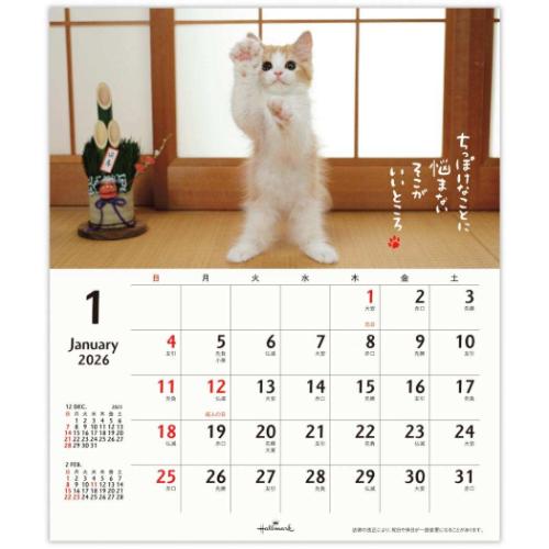50％OFF】2026 Calendar ほめにゃんこ リングカレンダー壁掛け＆卓上