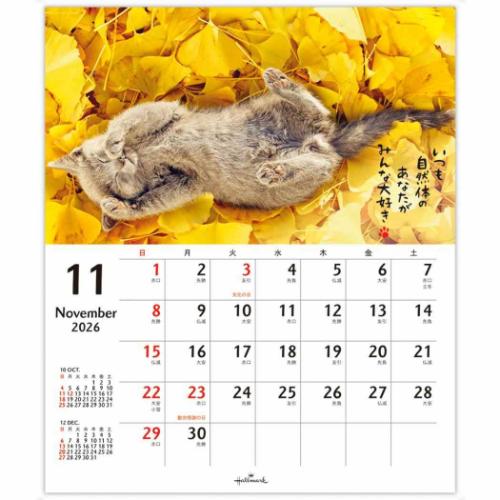 50％OFF】2026 Calendar ほめにゃんこ リングカレンダー壁掛け＆卓上