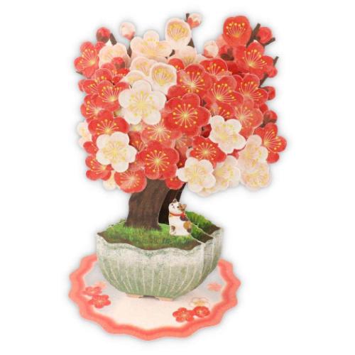 グリーティングカード 多目的 立体カード 梅盆栽2 日本ホールマーク 春