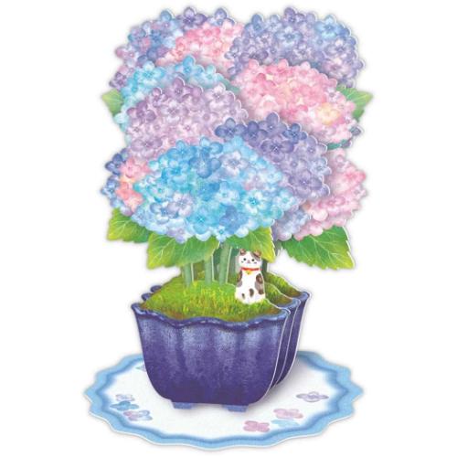 グリーティングカード 初夏カード 立体カード ねこ あじさい盆栽 日本ホールマーク メッセージカード