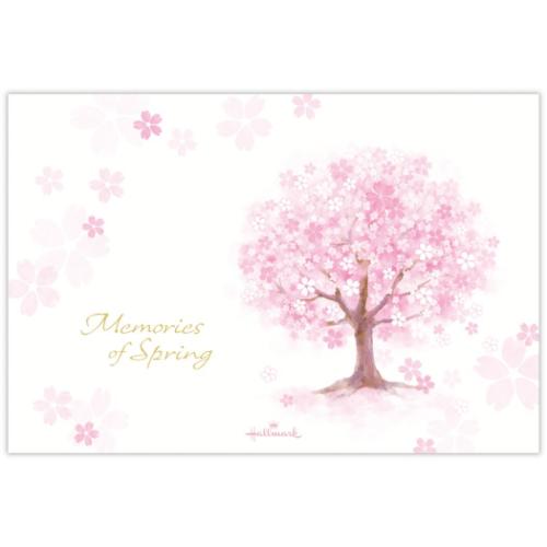 ポストカード 桜柄ハガキ箋 ヨコ罫線 1柄8枚入り メモリーズオブ