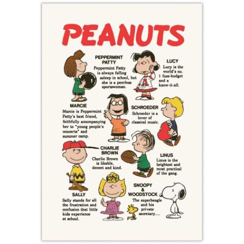 PEANUTS スヌーピー ポストカード ピーナッツ POSTCARD キャラクター