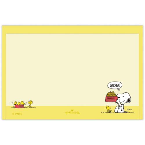 メッセージカード＆封筒 ミニメッセージカードセット スヌーピー Happiness is Red DISH 日本ホールマーク ピーナッツ