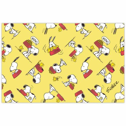 メッセージカード＆封筒 ミニメッセージカードセット スヌーピー Happiness is Red DISH 日本ホールマーク ピーナッツ