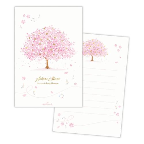 桜柄ハガキ箋 ヨコ罫線 1柄8枚入り ポストカード サクラミュージック