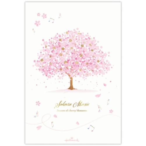 桜柄ハガキ箋 ヨコ罫線 1柄8枚入り ポストカード サクラミュージック