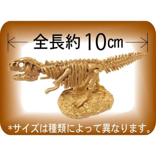 スーパー発掘名人ゴールド 全6種 知育玩具 恐竜 ノブカンパニー