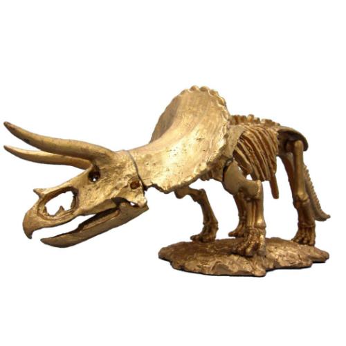 知育玩具 黄金の発掘名人 BIG トリケラトプス 恐竜 ノブカンパニー