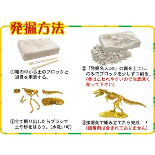 恐竜 Amazon.co.jp: 恐竜トリケラトプスとかいぶつきょうりゅう (恐竜