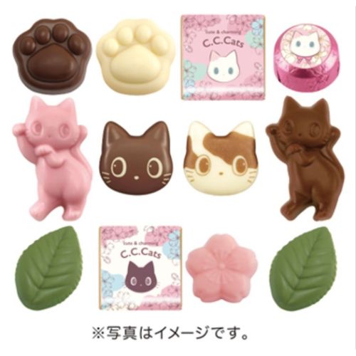 ホワイトデー お菓子 アソートBOX C.C.キャッツ ハート