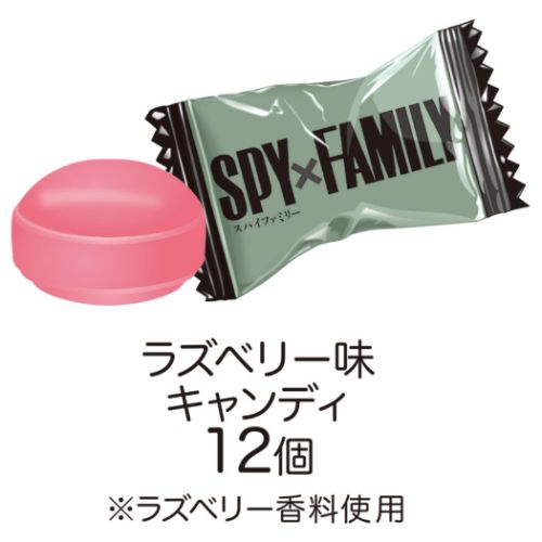 スパイファミリー SPY FAMILY アニメキャラクター クリスマスお