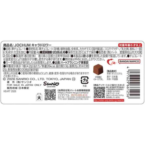 お菓子 チョコレート キャラドロワー バレンタイン JOCHUM