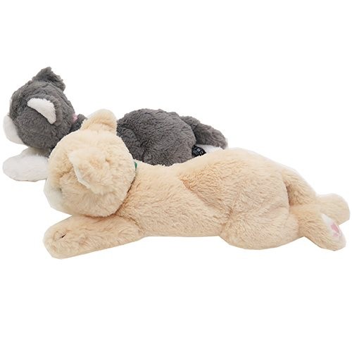 サンレモン　ひざねこ　エキゾチック　２種セット ひざねこ ぬいぐるみ ぬいぐるみS エキゾチック かわいい グッズ