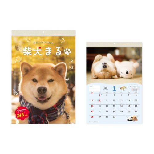 2024Calendar 柴犬まる 壁掛け 小 壁掛けカレンダー2024年 スケジュール いぬ 新日本カレンダー