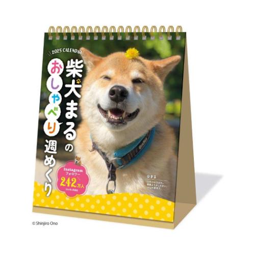 卓上カレンダー2025年 柴犬まるのおしゃべり週めくり 2025Calendar いぬ 新日本カレンダー