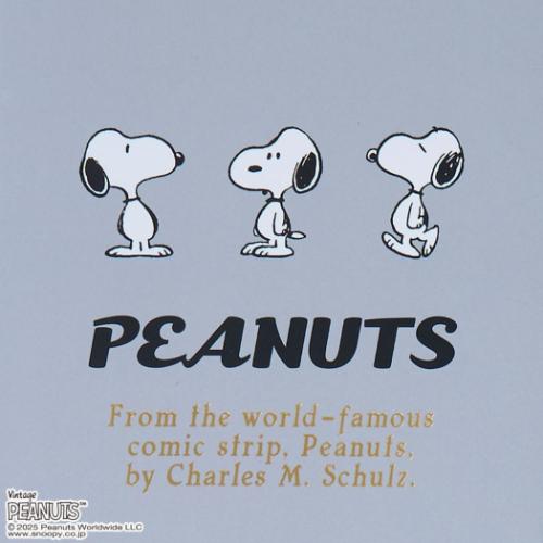 PEANUTS スヌーピー 令和8年手帖 B6ウィークリー手帳2026 2026年週間