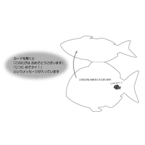 グリーティングカード オイワイ CR24-9 ダイカット素材付きカード 水引付き鯛 サンリオ｜cinemacollection｜02