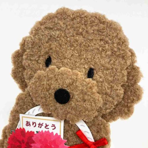 ハハノヒ JMD 14-5 グリーティングカード 母の日 トイプードル サンリオ