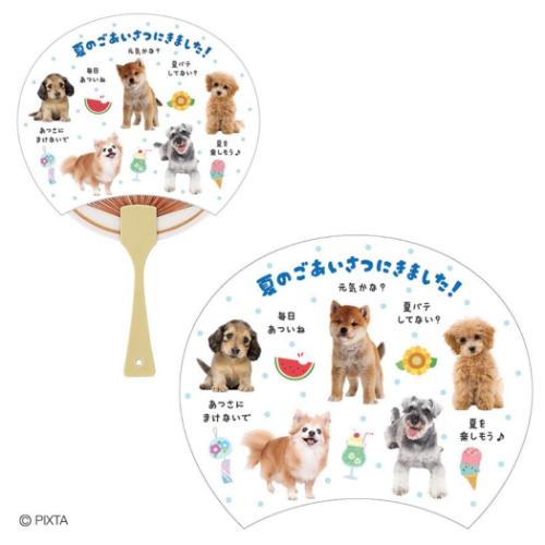 グリーティングカード シヨチユウJSP 22-5 サマー 犬フォトうちわ サンリオ 暑中お見舞い