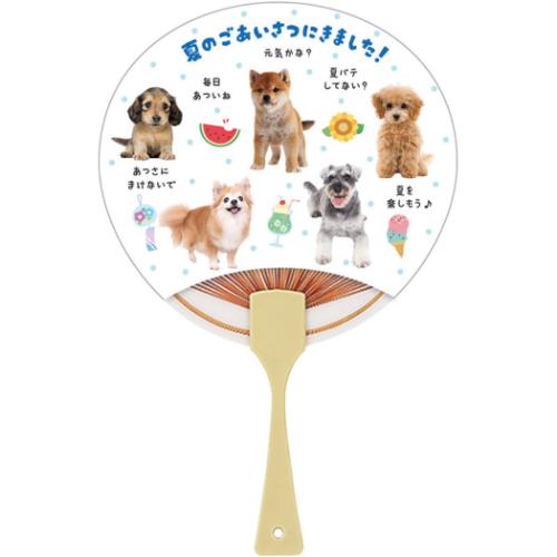 グリーティングカード シヨチユウJSP 22-5 サマー 犬フォトうちわ サンリオ 暑中お見舞い
