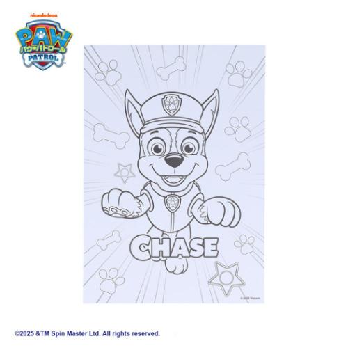 塗り絵 パウパトロール ぬってかざれる パレットぬりえ サンスター文具 ぬり絵 男の子 女の子