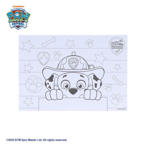 塗り絵 パウパトロール ぬってかざれる パレットぬりえ サンスター文具 ぬり絵 男の子 女の子