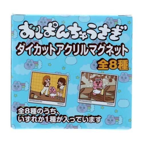 アクリルマグネットセット❤︎ マグネット ダイカットアクリルマグネット 全8種 8個入セット お