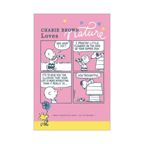 スヌーピー レギュラーポチ袋 3枚セット ぽち袋 CHARIE BROWN Loves ピーナッツ キャラクター