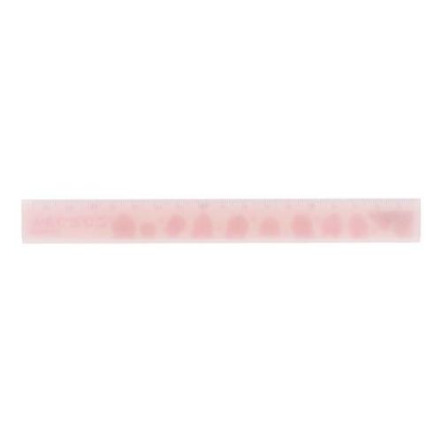 こびとづかん ものさし ぴったり17cm定規 A